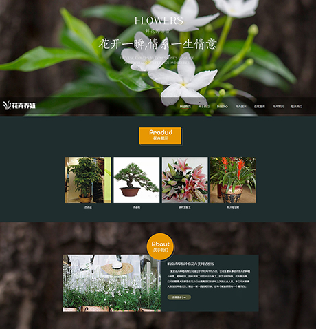 农业畜牧养殖宠物黑白响应式绿植种植花卉类营销型企业网站模板